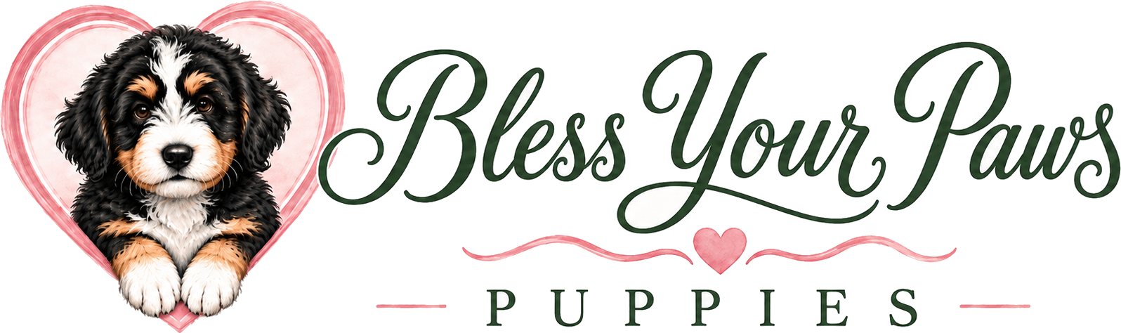 Bless Your Paws Puppies